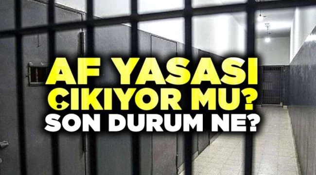 Af yasası ve İkinci yargı paketi ne zaman sonuçlanacak?
