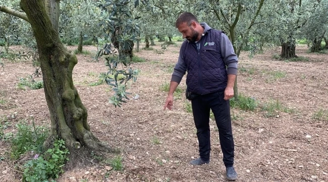Abdulvahap mevkisinde 2200 yıllık roma dönemi parası sikke bulundu