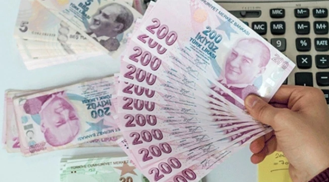 MEMUR VE EMEKLİ ZAMMI