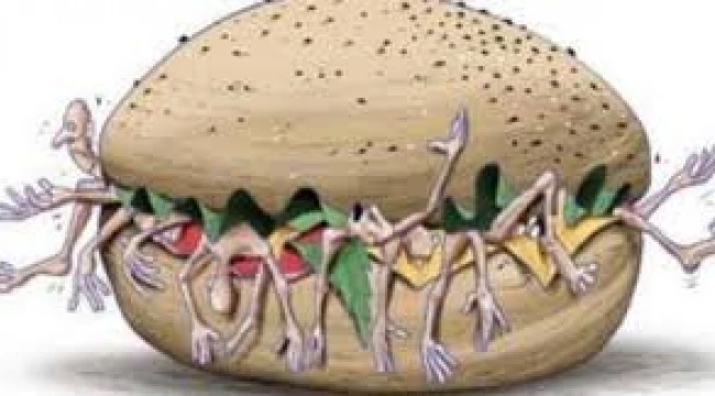  İnsan eti tadında hamburger üretildi 