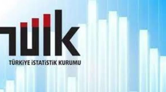 TÜİK işsizlik oranlarını açıkladı 