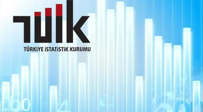  Lisans mezunlarının istihdam oranı belli oldu, TÜİK açıkladı  